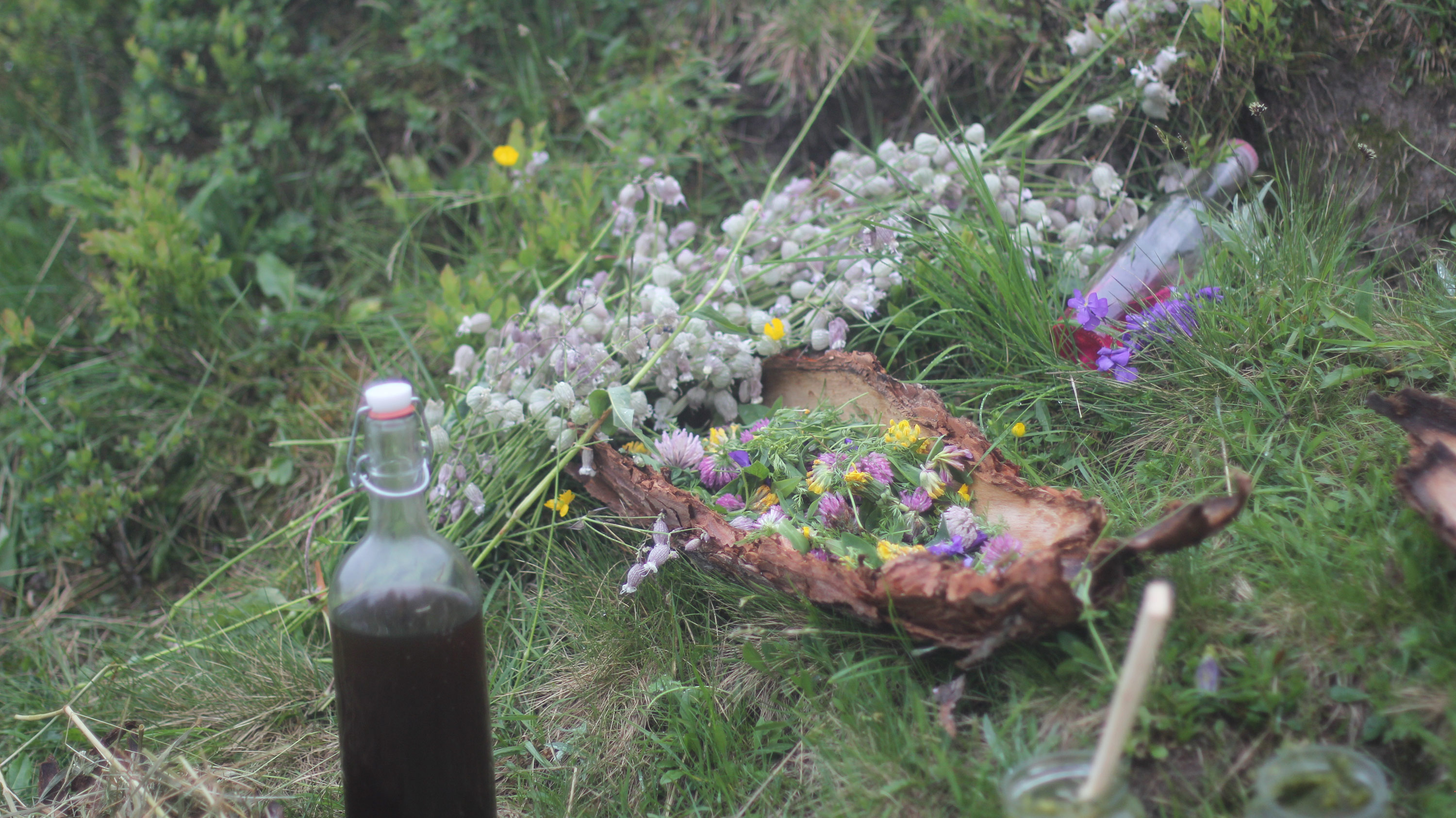 MARIE-LOUISE ANDERSSON