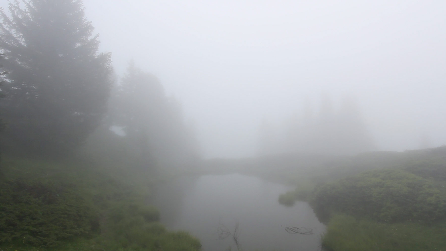 MARIE-LOUISE ANDERSSON