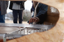 MARIE-LOUISE ANDERSSON