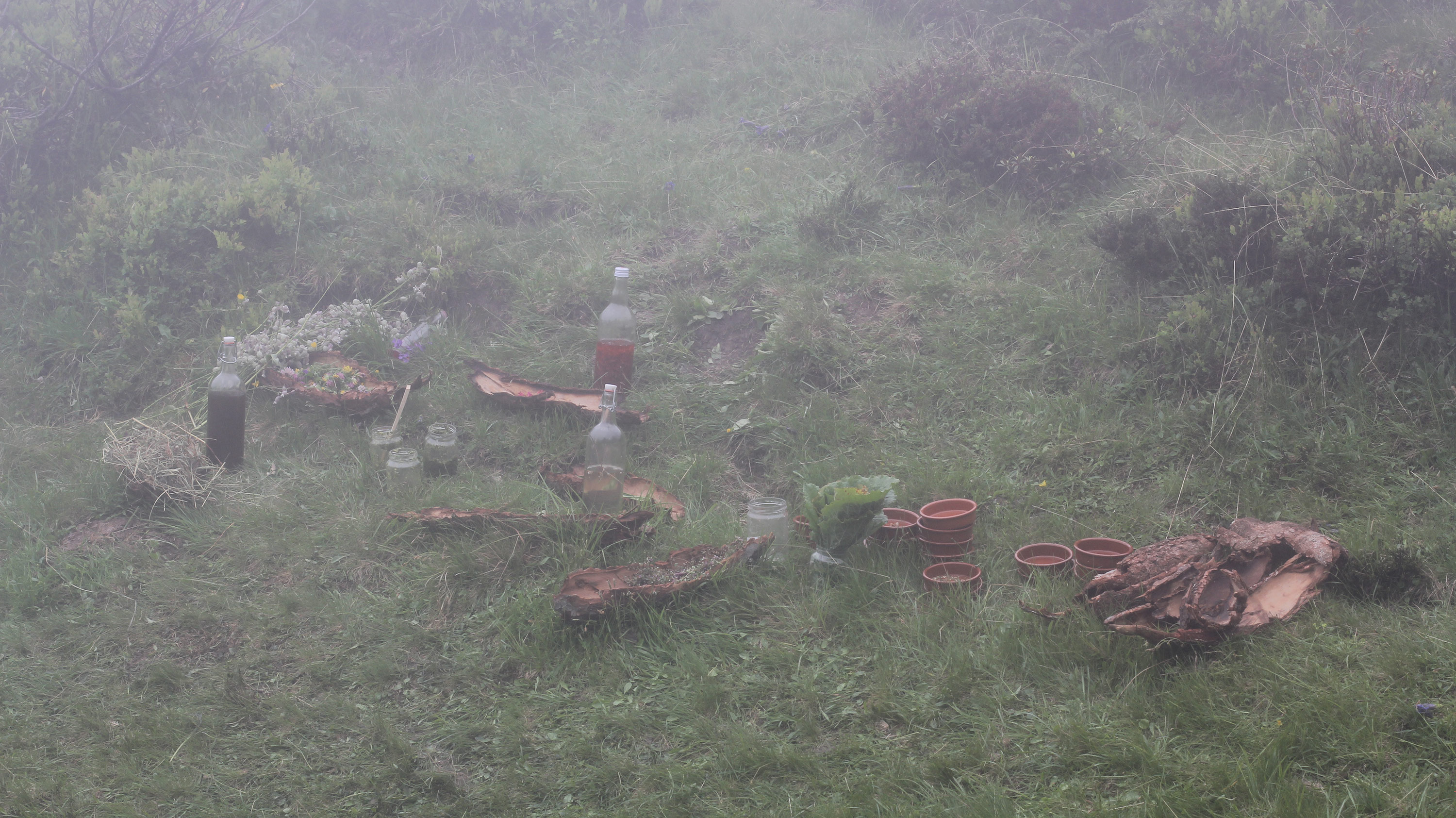 MARIE-LOUISE ANDERSSON